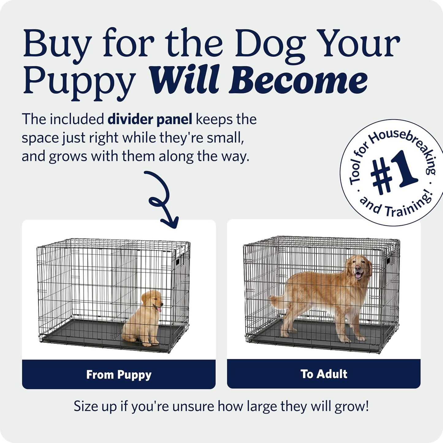 36-Inch Two-Door Folding Dog Crate with Divider Panel, Leak-Proof Tray, and Secure Latches – Metal Wire Kennel for Medium to Large Breeds – Portable, Durable, and Easy to Assemble