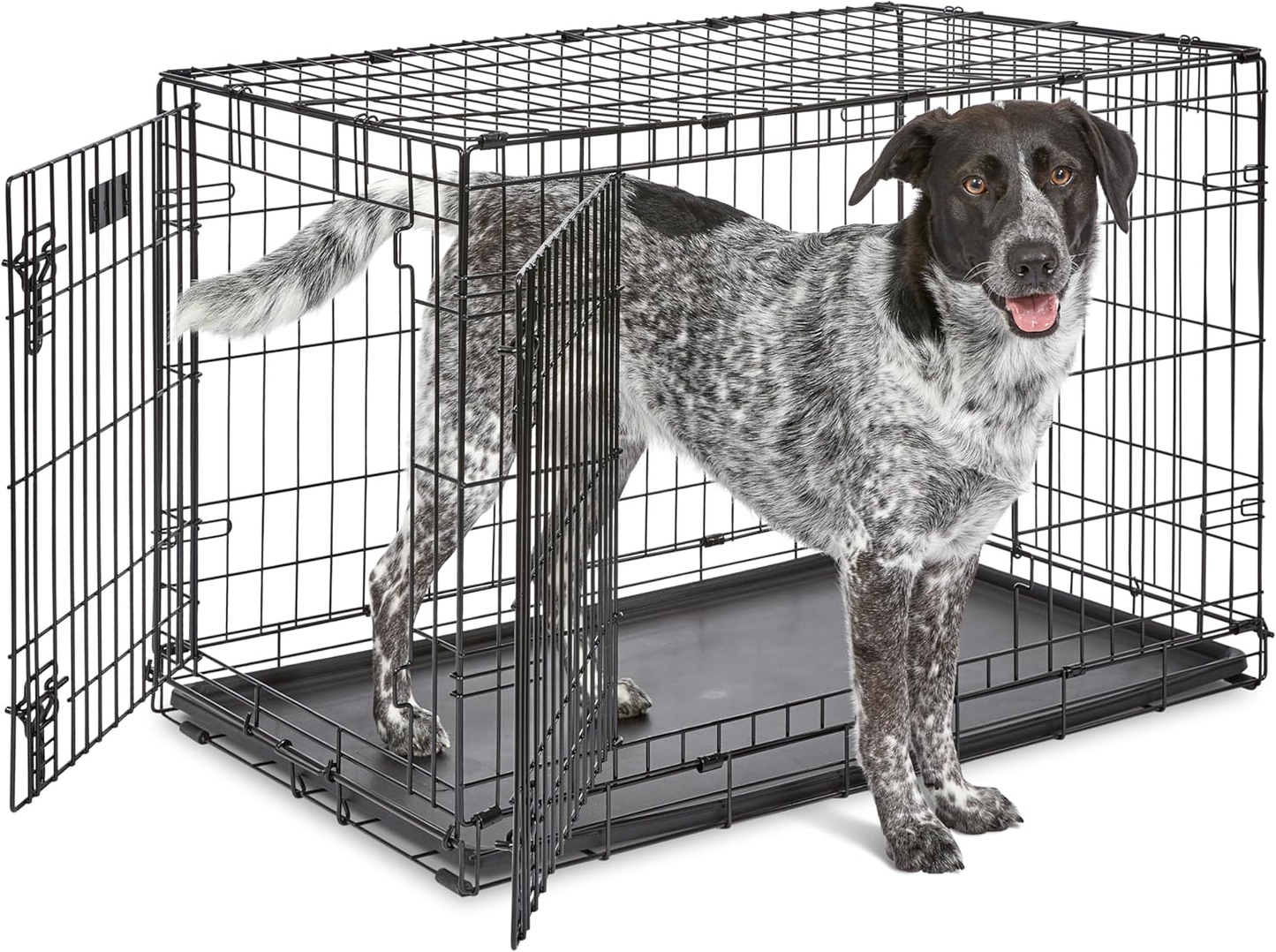 36-Inch Two-Door Folding Dog Crate with Divider Panel, Leak-Proof Tray, and Secure Latches – Metal Wire Kennel for Medium to Large Breeds – Portable, Durable, and Easy to Assemble