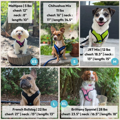 Gooby Comfort X Step-In Lite Dog Harness - Premium No-Escape and Choke-Free Solution for Toy Breeds, Small and Medium Dogs - Ultra-Lightweight, Breathable Mesh, Quick-Dry, and Machine Washable