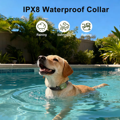 JUGBOW Remote Dog Training Collar with 4500FT Range, IPX8 Waterproof Design, 4 Training Modes, and Rechargeable E-Collar DT61