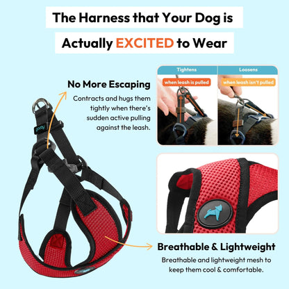 Gooby Comfort X Step-In Lite Dog Harness - Premium No-Escape and Choke-Free Solution for Toy Breeds, Small and Medium Dogs - Ultra-Lightweight, Breathable Mesh, Quick-Dry, and Machine Washable