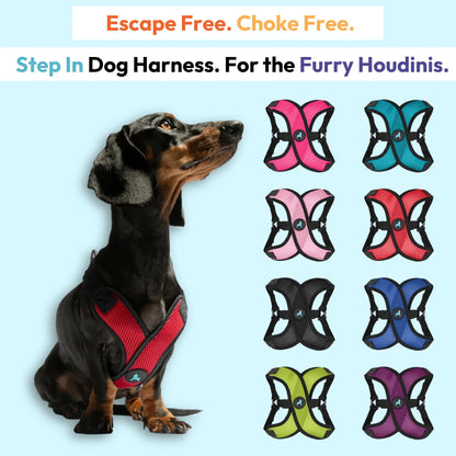 Gooby Comfort X Step-In Lite Dog Harness - Premium No-Escape and Choke-Free Solution for Toy Breeds, Small and Medium Dogs - Ultra-Lightweight, Breathable Mesh, Quick-Dry, and Machine Washable
